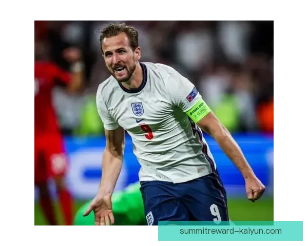 达姆斯高职业轨迹：从北西兰到布伦特福德的稳步发展